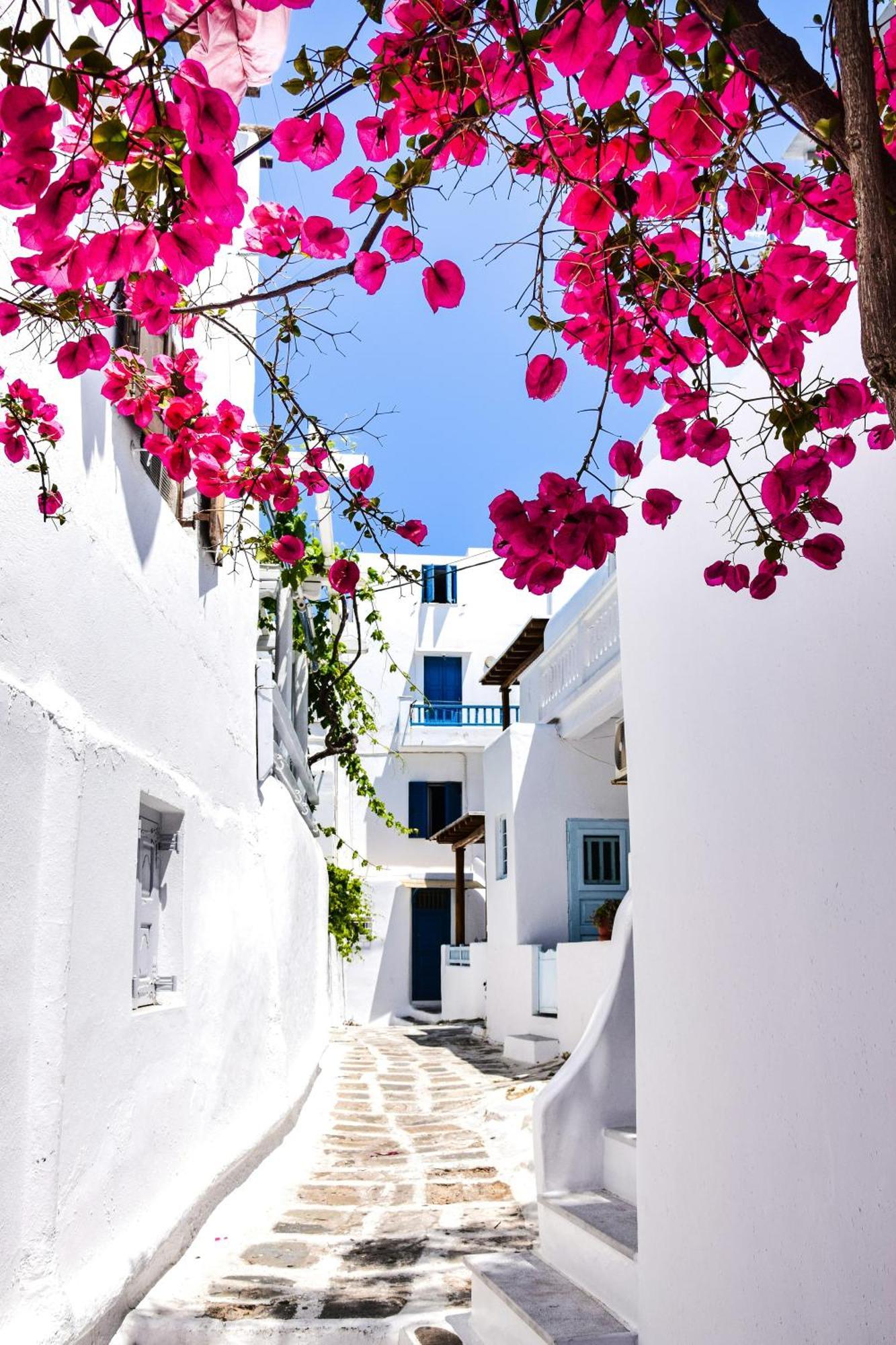 Aniko Suites White Alley Mykonos Town Esterno foto